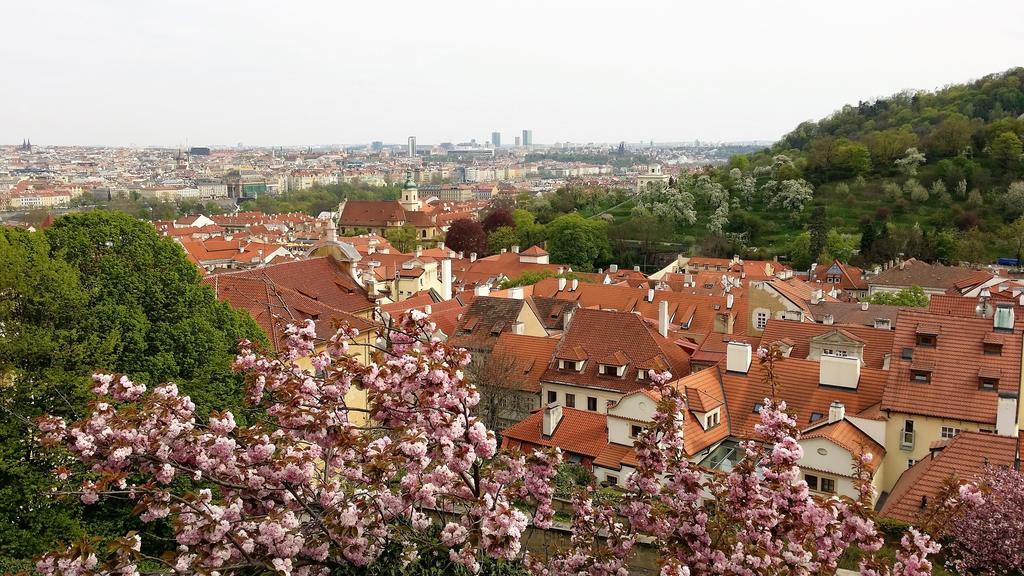 Apartmán Zuzana *